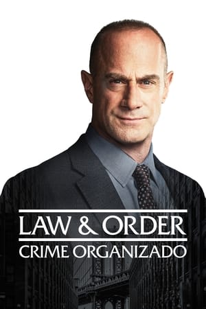 Law & Order: Organized Crime poszter