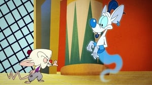 Animaniacs 1. évad Ep.38 38. epizód