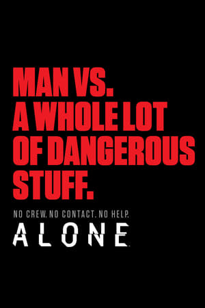 Alone 3. évad (2016-12-07) poszter