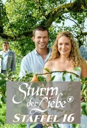 Sturm der Liebe 16. évad (2019-11-06) poszter