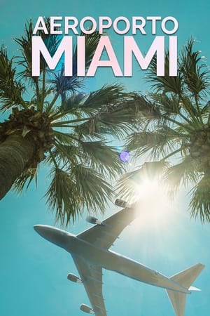 Airport 24/7: Miami poszter