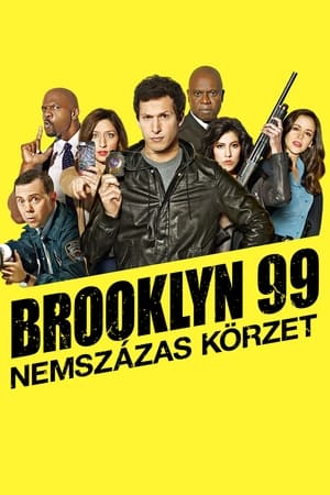 Brooklyn 99 - Nemszázas körzet poszter