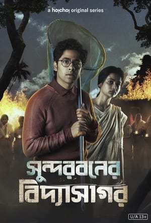 Sundarbaner Vidyasagar 1. évad (2022-03-11) poszter