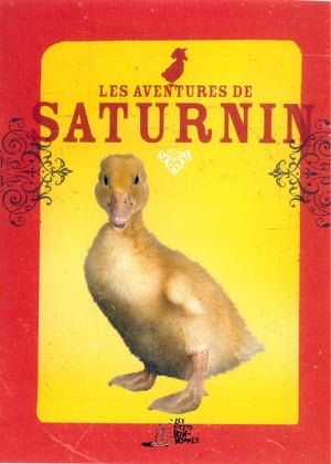 Les Aventures de Saturnin poszter