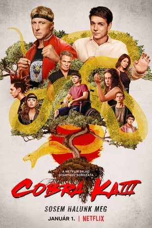 Cobra Kai 3. évad (2021-01-01) poszter