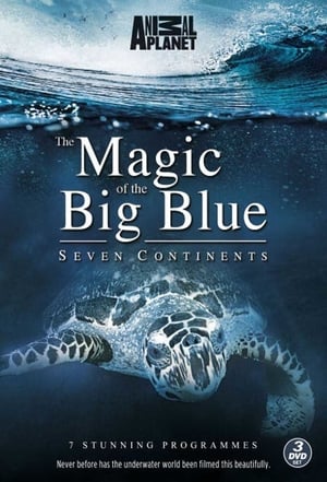 The Magic of the Big Blue. Seven Continents poszter