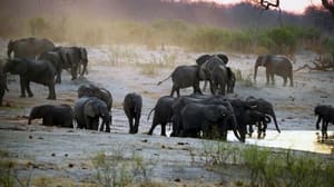 Paroles d'animaux kép