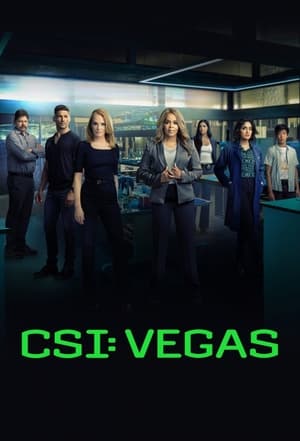 CSI: Las Vegas-i helyszínelők poszter