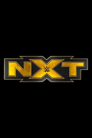 WWE NXT poszter