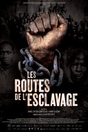 Les routes de l'esclavage poszter