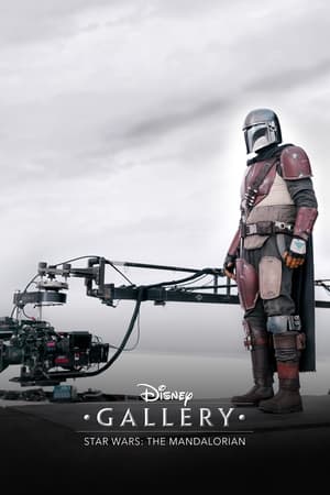 Disney Galéria/Star Wars: A mandalóri 1. évad (2020-05-04) poszter