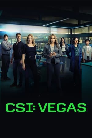 CSI: Las Vegas-i helyszínelők poszter