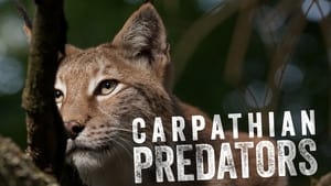 Carpathian Predators kép