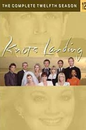 Knots Landing 12. évad (1990-09-13) poszter