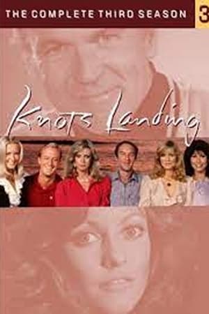 Knots Landing 3. évad (1981-11-12) poszter