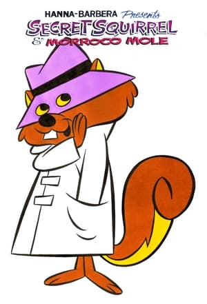 The Secret Squirrel Show poszter