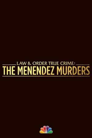 Law & Order True Crime poszter