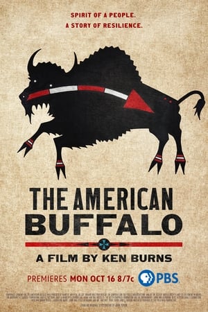 The American Buffalo poszter