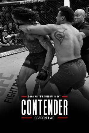 Dana White's Tuesday Night Contender Series 2. évad (2018-06-12) poszter