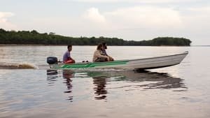 Em Busca das Cobras kép