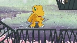 Digimon I. sorozat Ep.15 15. epizód