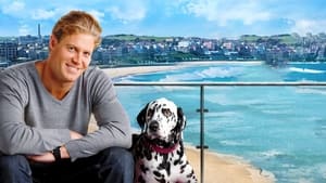 Bondi Vet kép