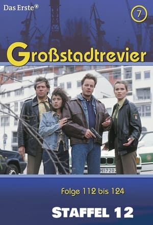 Großstadtrevier 12. évad (2002-03-18) poszter