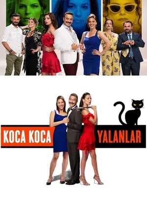 Koca Koca Yalanlar poszter