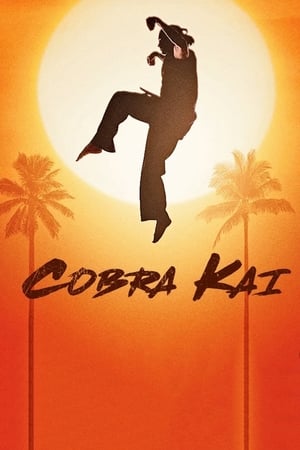 Cobra Kai poszter