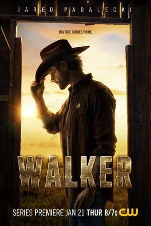 Walker poszter