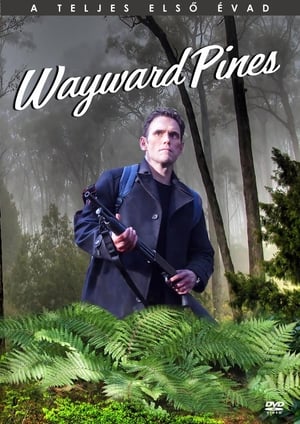 Wayward Pines 1. évad (2015-05-14) poszter