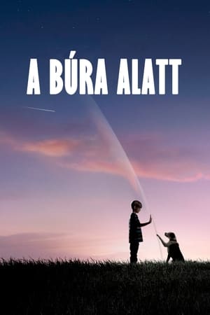 A búra alatt