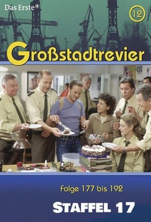 Großstadtrevier 17. évad (2004-03-08) poszter