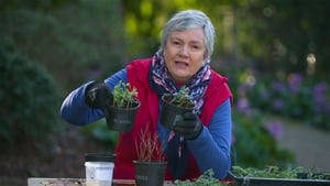 Gardening Australia 30. évad Ep.32 32. epizód