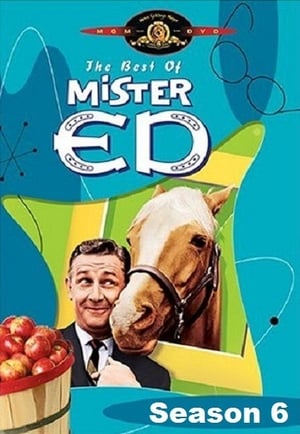 Mister Ed 6. évad (1965-09-12) poszter