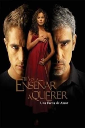 Te voy a enseñar a querer 1. évad (2004-08-31) poszter