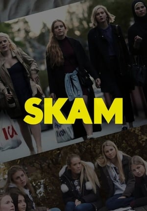 SKAM poszter