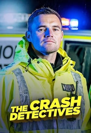 The Crash Detectives 1. évad (2018-04-16) poszter