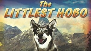 The Littlest Hobo kép