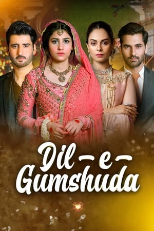 Dil e Gumshuda poszter