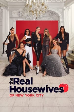 The Real Housewives of New York City 15. évad (2024-10-01) poszter