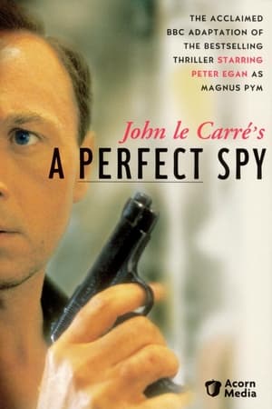 A Perfect Spy poszter