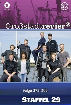 Großstadtrevier 29. évad (2015-11-29) poszter