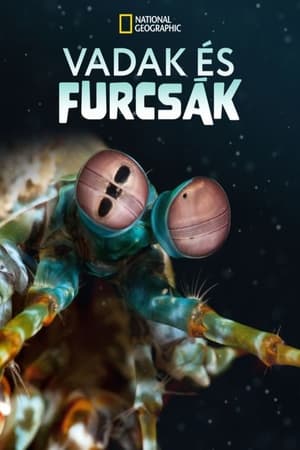 Vadak és furcsák