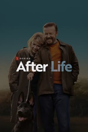 After Life - Mögöttem az élet poszter