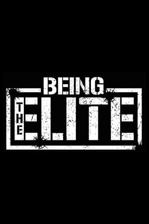 Being The Elite 1. évad (2016-05-05) poszter