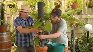 Gardening Australia 33. évad Ep.8 8. epizód