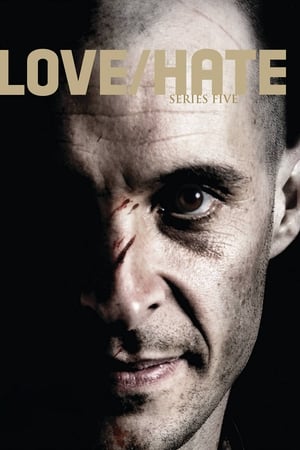 Love/Hate 5. évad (2014-10-05) poszter