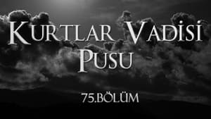 Kurtlar Vadisi: Pusu 4. évad Ep.12 12. epizód