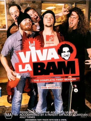 Viva La Bam 1. évad (2003-10-26) poszter